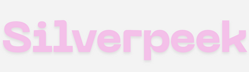  SilverPeek